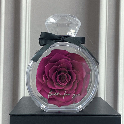 Rose in Transparenter Box