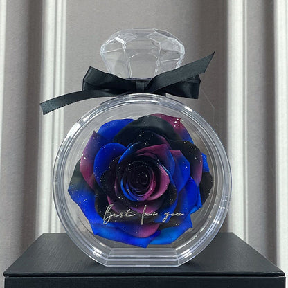 Rose in Transparenter Box