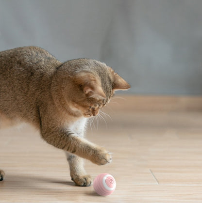 Katzenspielzeug - Bewegender Spielzeug Ball