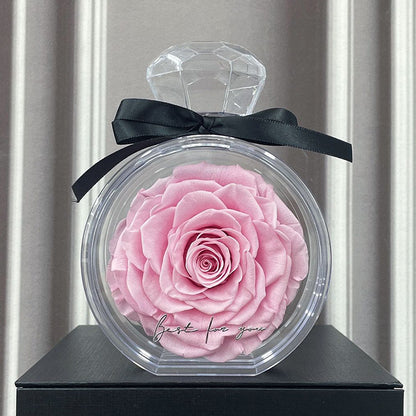 Rose in Transparenter Box