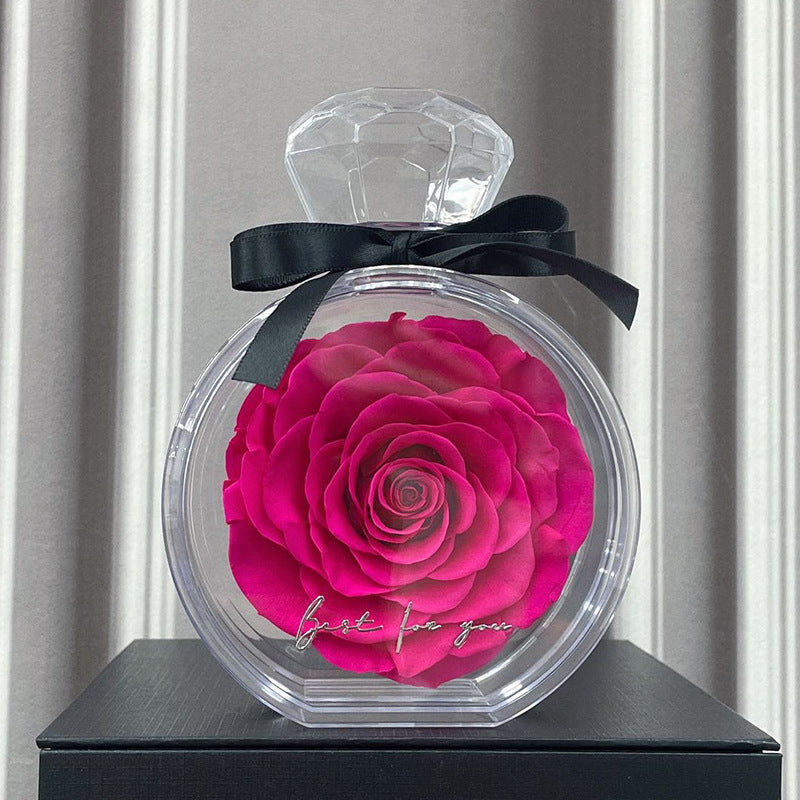 Rose in Transparenter Box