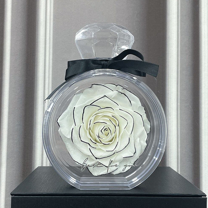 Rose in Transparenter Box