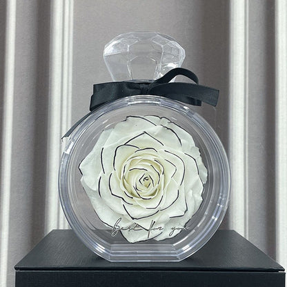 Rose in Transparenter Box